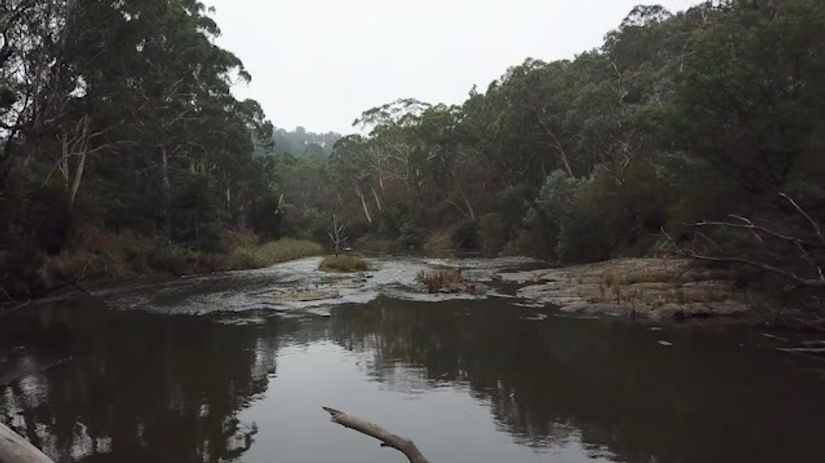 Clip 13 - Upper Yarra